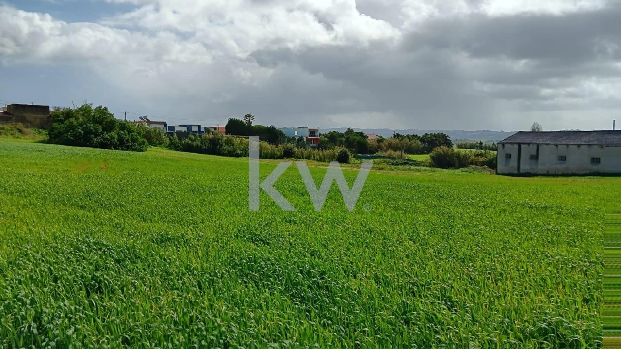 Terreno para Venda em Santo Isidoro Foto 8