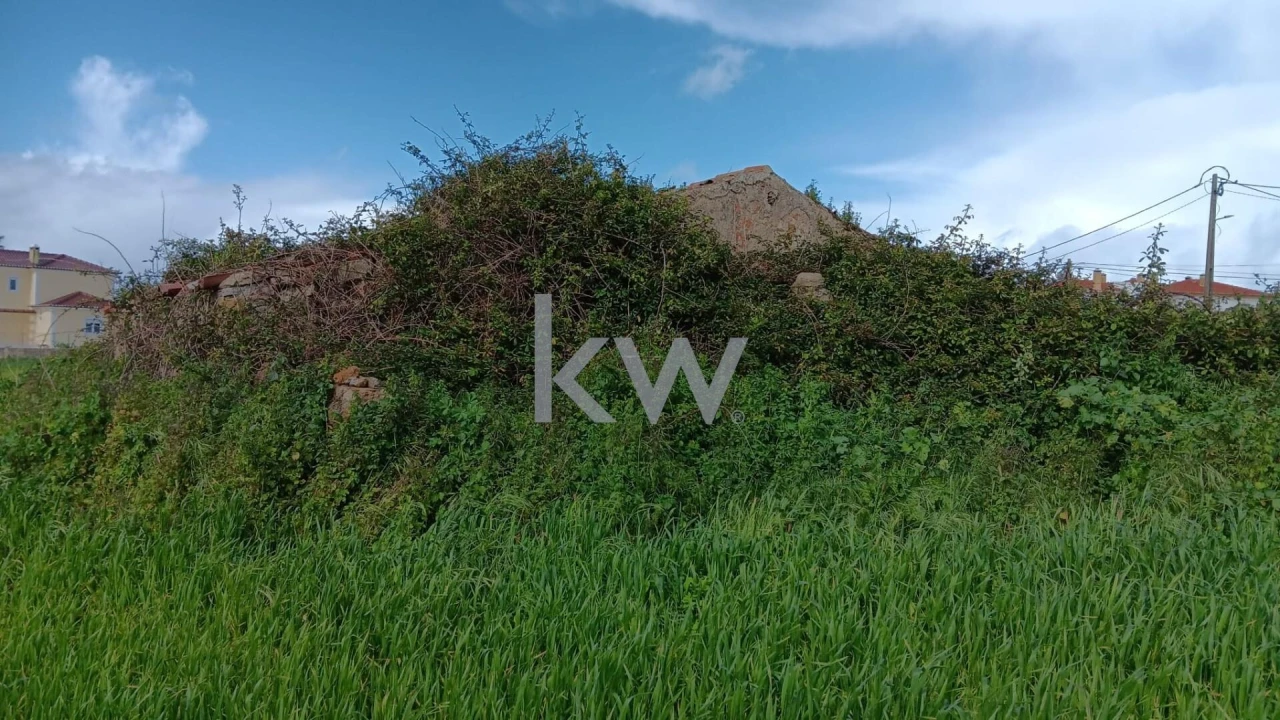 Terreno para Venda em Santo Isidoro Foto 6