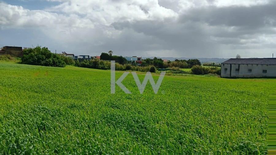 Terreno para Venda em Santo Isidoro Foto 8
