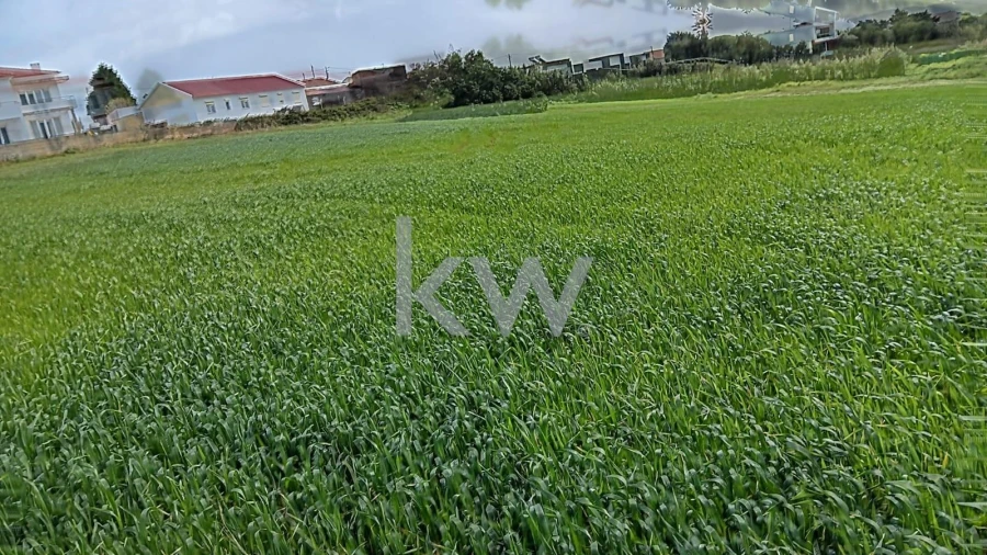 Terreno para Venda em Santo Isidoro Foto 7