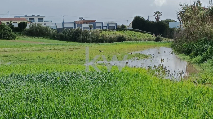 Terreno para Venda em Santo Isidoro Foto 14