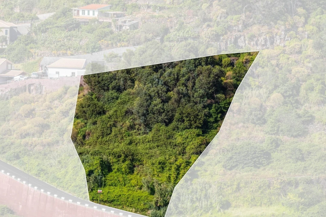 Terreno para Venda em Santa Cruz Foto 19