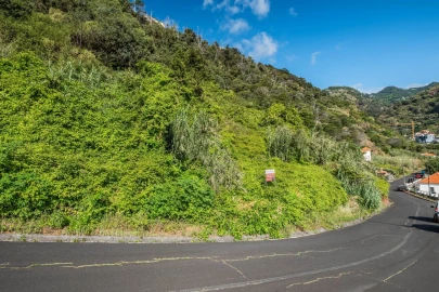 Terreno para Venda em Santa Cruz