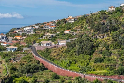 Terreno para Venda em Santa Cruz