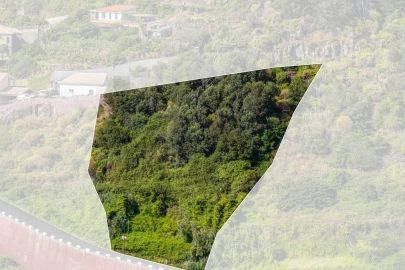 Terreno para Venda em Santa Cruz
