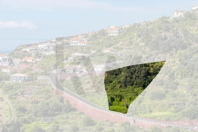 Terreno para Venda em Santa Cruz