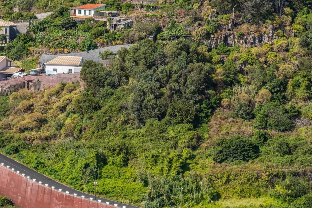 Terreno para Venda em Santa Cruz Foto 3