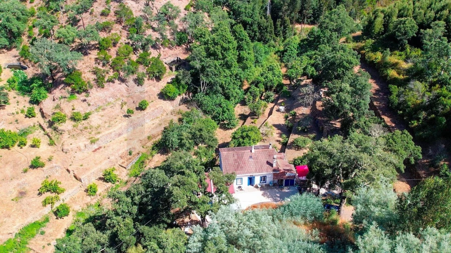 Moradia T2 para Venda em Monchique Foto 27