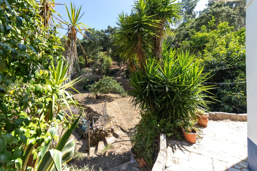 Moradia T2 para Venda em Monchique Foto 21