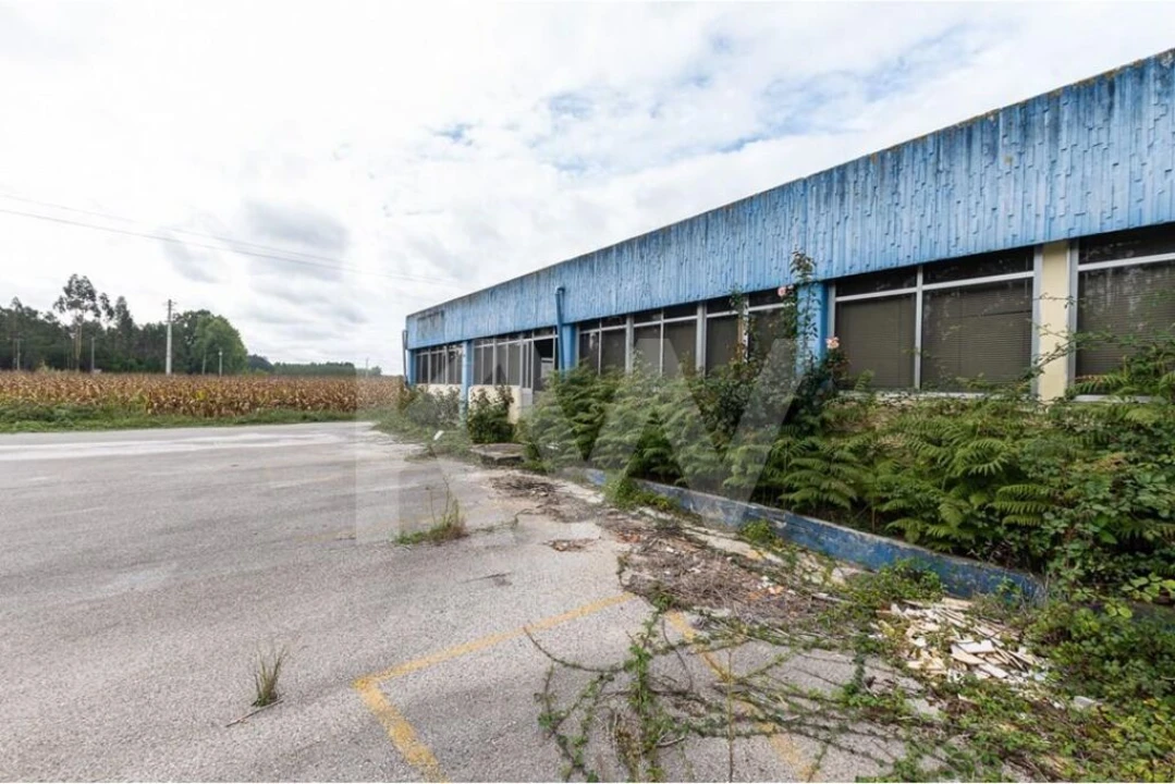 Armazém para Venda em Vagos e Santo António Foto 18