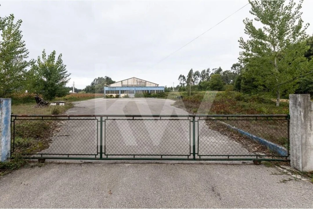 Armazém para Venda em Vagos e Santo António Foto 25