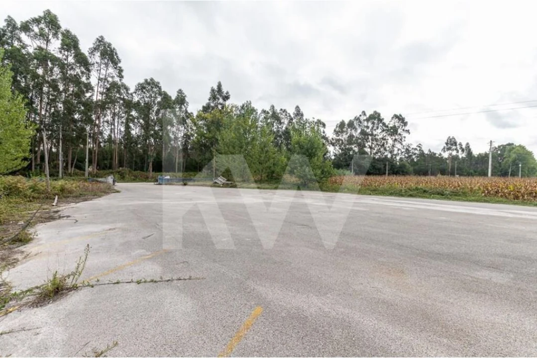 Armazém para Venda em Vagos e Santo António Foto 27