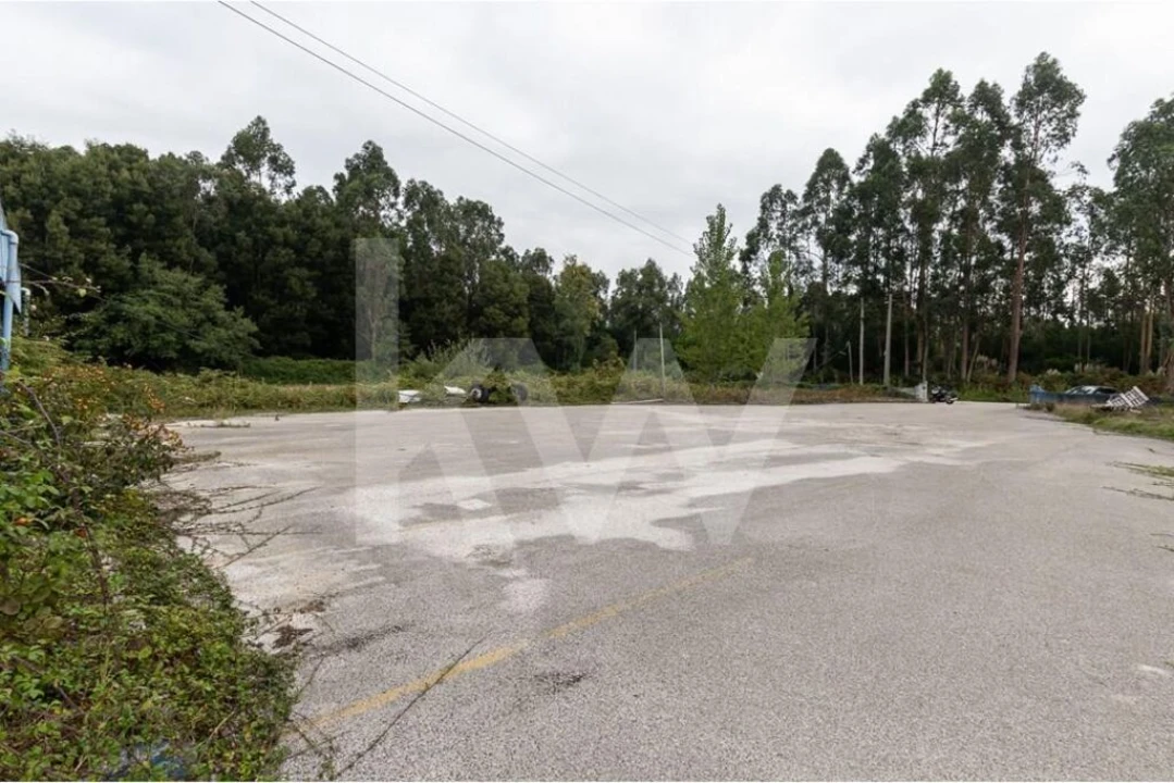 Armazém para Venda em Vagos e Santo António Foto 22