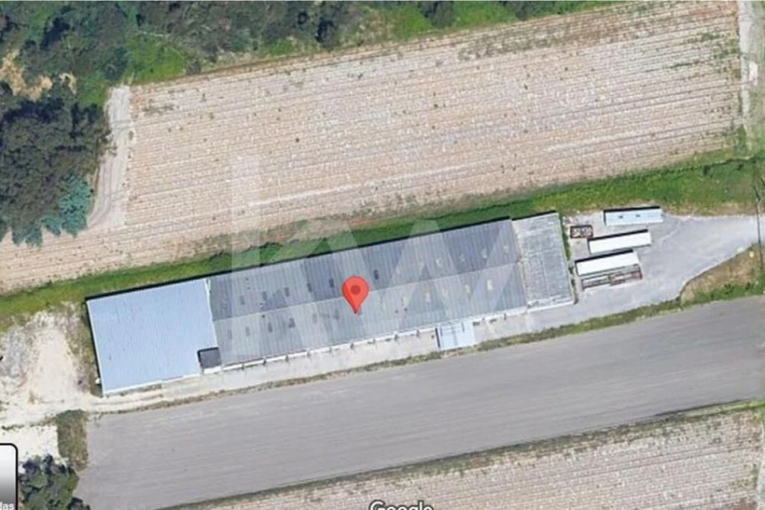 Armazém para Venda em Vagos e Santo António Foto 6