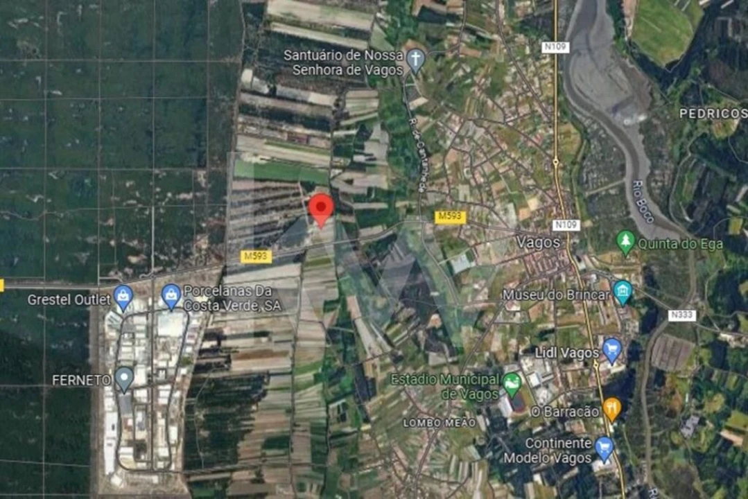 Armazém para Venda em Vagos e Santo António Foto 29