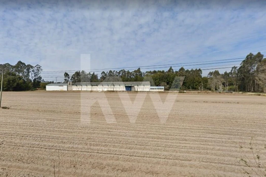Armazém para Venda em Vagos e Santo António Foto 26