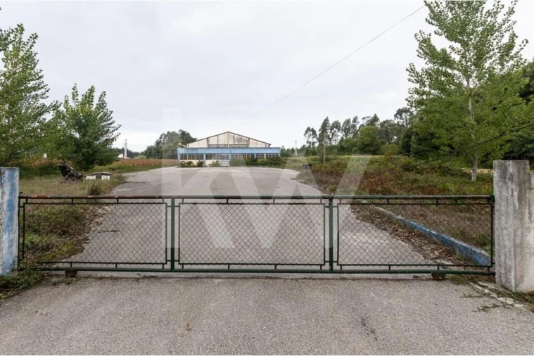 Armazém para Venda em Vagos e Santo António Foto 25