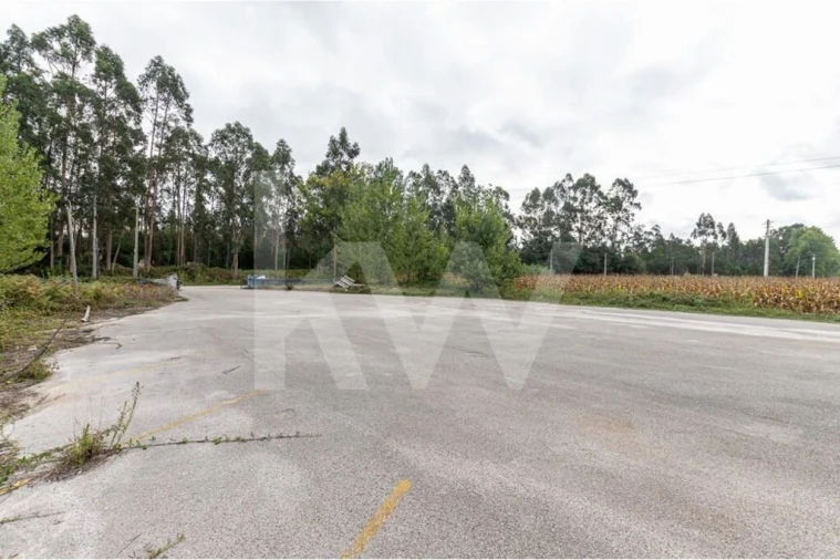 Armazém para Venda em Vagos e Santo António Foto 27