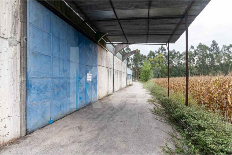 Armazém para Venda em Vagos e Santo António Foto 17