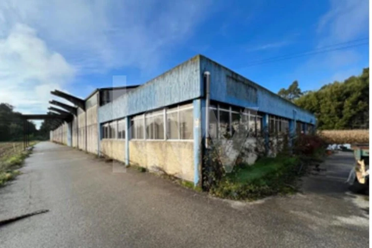 Armazém para Venda em Vagos e Santo António Foto 19