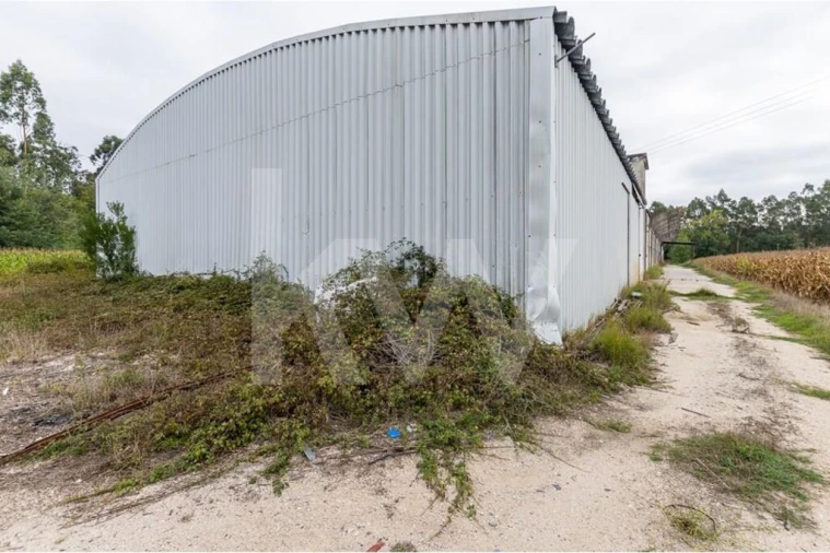 Armazém para Venda em Vagos e Santo António Foto 20