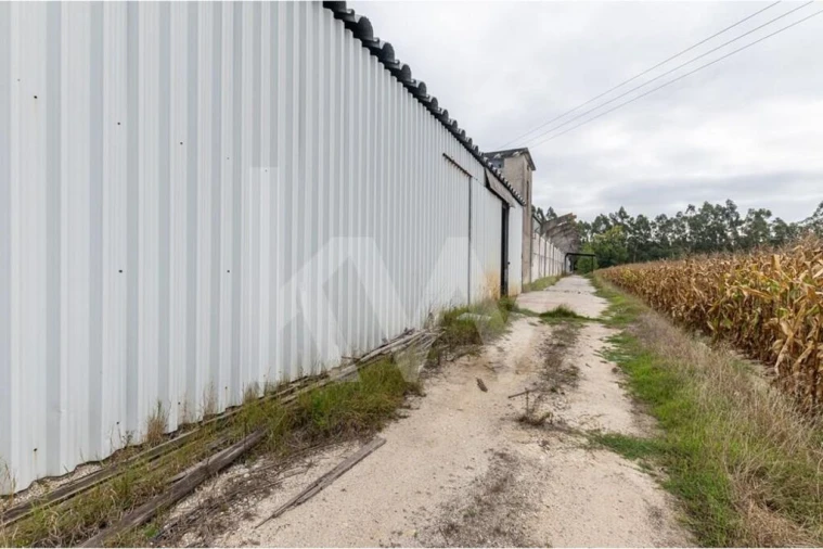 Armazém para Venda em Vagos e Santo António Foto 14