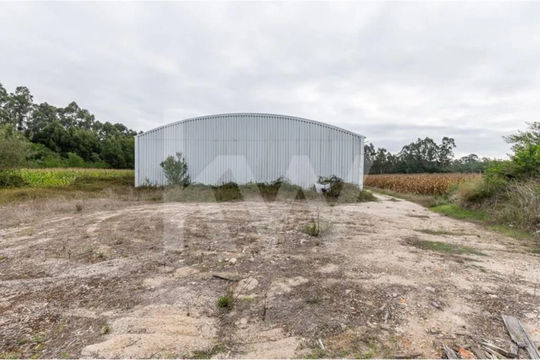 Armazém para Venda em Vagos e Santo António Foto 21