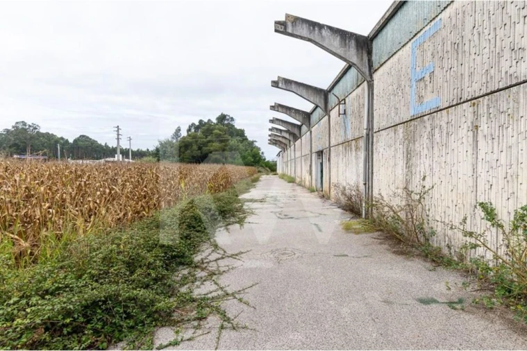 Armazém para Venda em Vagos e Santo António Foto 16