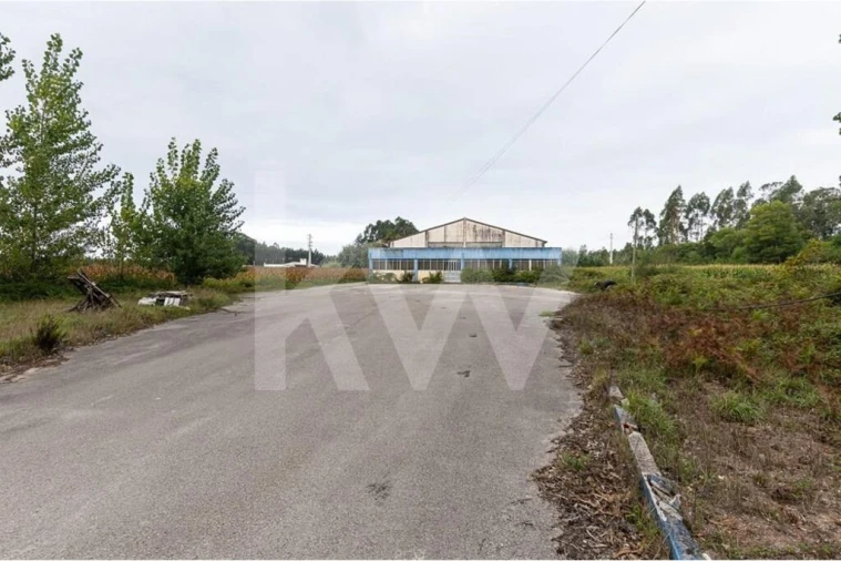 Armazém para Venda em Vagos e Santo António Foto 24