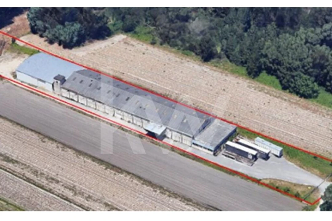 Armazém para Venda em Vagos e Santo António Foto 3