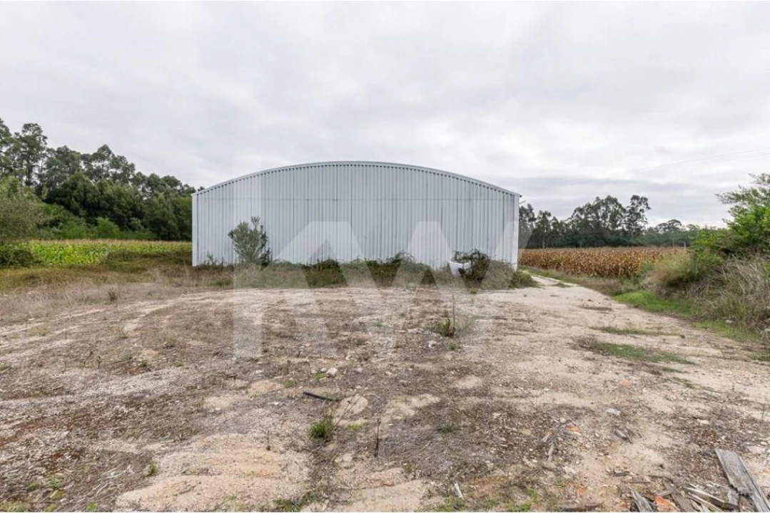 Armazém para Venda em Vagos e Santo António Foto 21