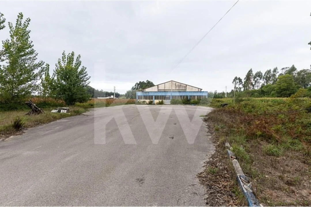 Armazém para Venda em Vagos e Santo António Foto 24