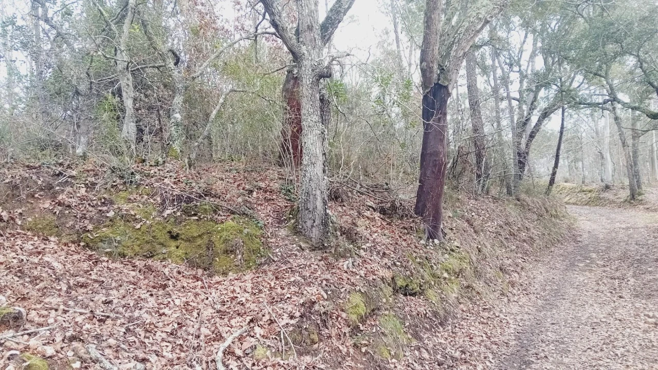 Terreno para Venda em Secarias Foto 24