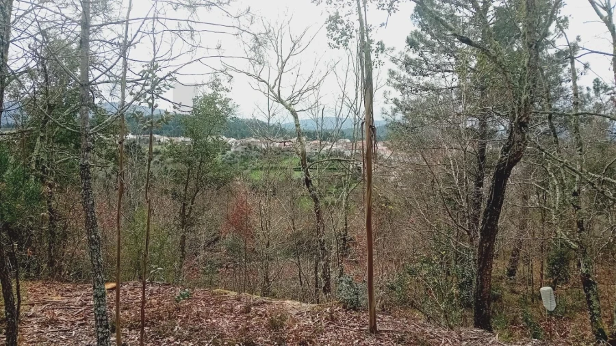 Terreno para Venda em Secarias Foto 18