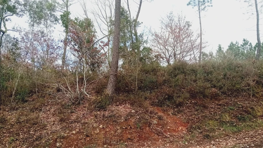 Terreno para Venda em Secarias Foto 20