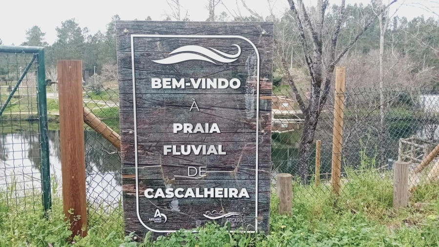 Terreno para Venda em Secarias Foto 10