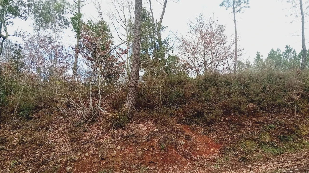 Terreno para Venda em Secarias Foto 20