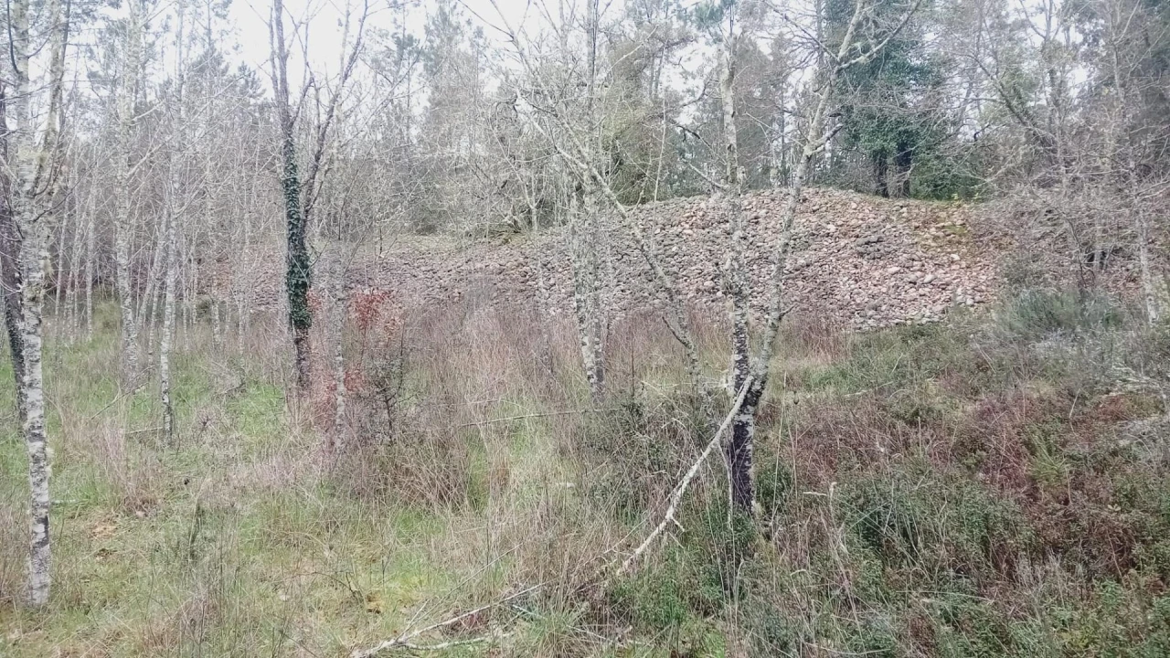 Terreno para Venda em Secarias Foto 25