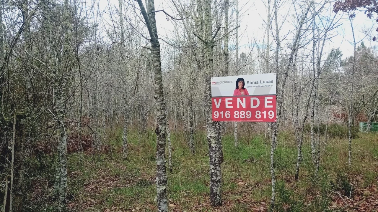 Terreno para Venda em Secarias Foto 21