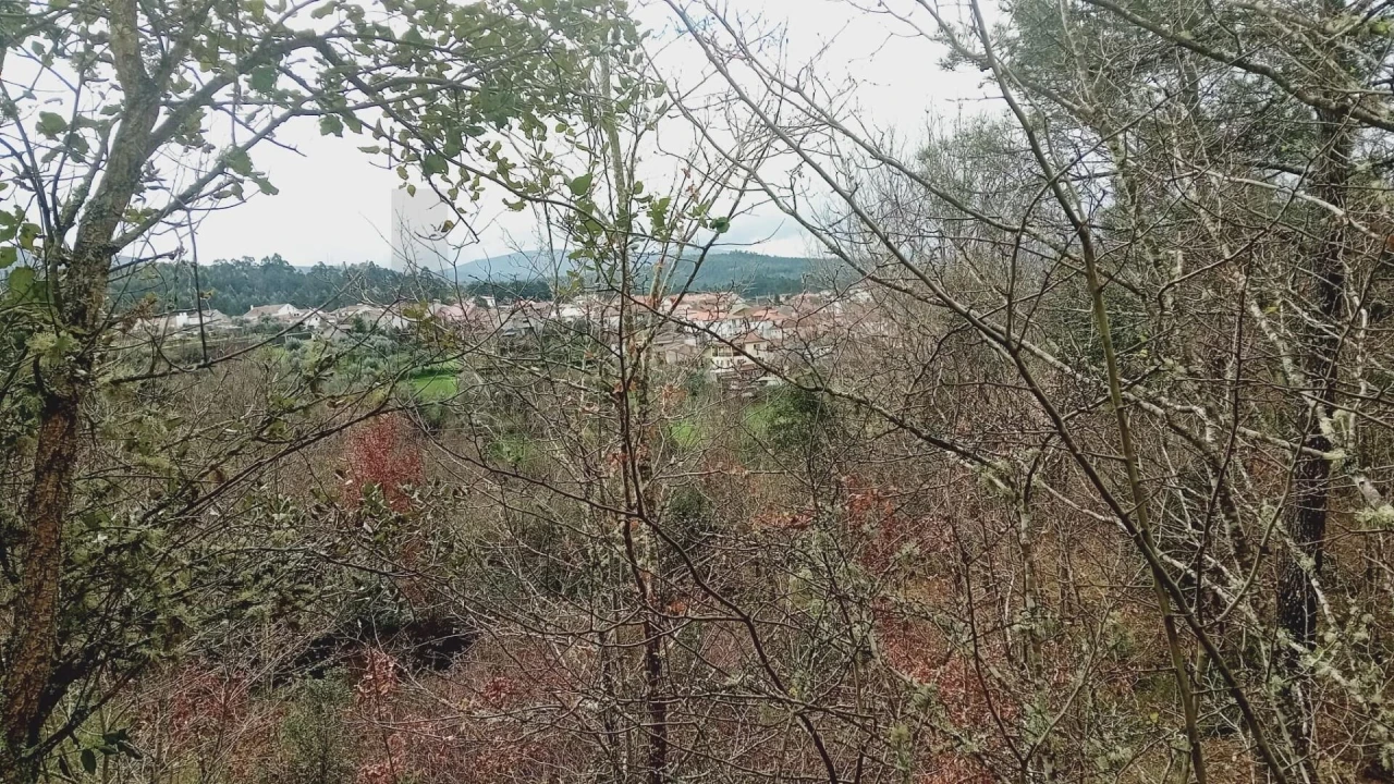 Terreno para Venda em Secarias Foto 17