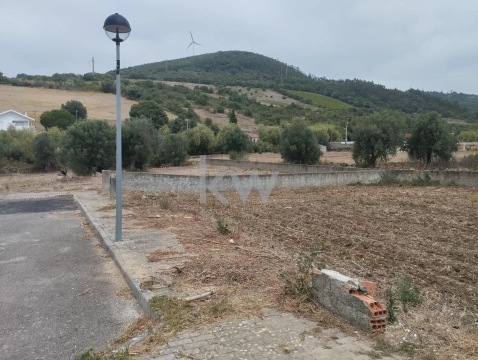 Terreno para Venda em Igreja Nova e Cheleiros Foto 7