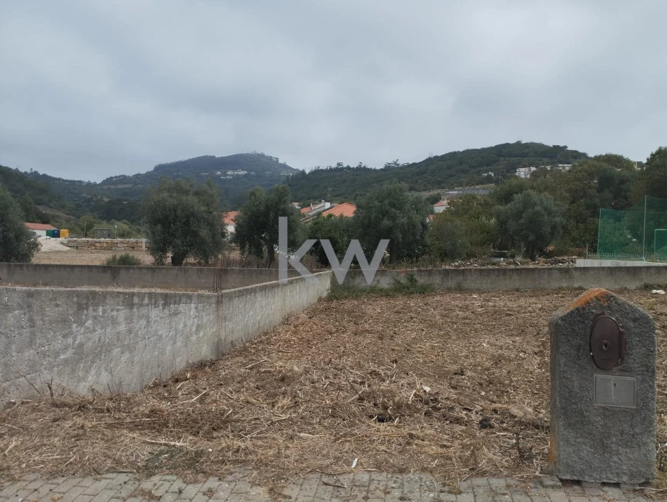 Terreno para Venda em Igreja Nova e Cheleiros Foto 3