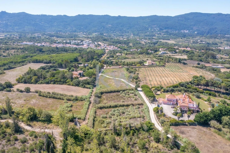 Terreno para Venda em São João das Lampas e Terrugem Foto 6