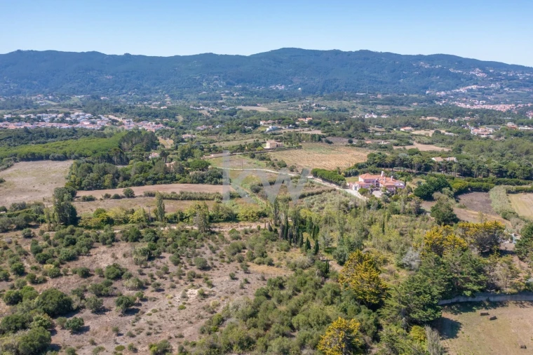 Terreno para Venda em São João das Lampas e Terrugem Foto 4