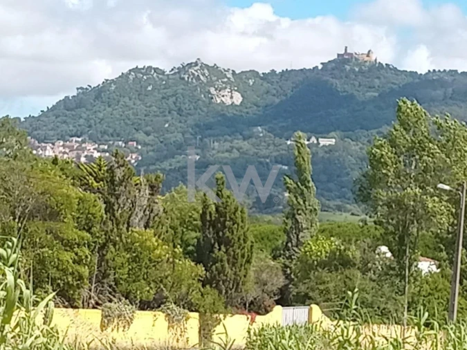 Terreno para Venda em São João das Lampas e Terrugem Foto 11