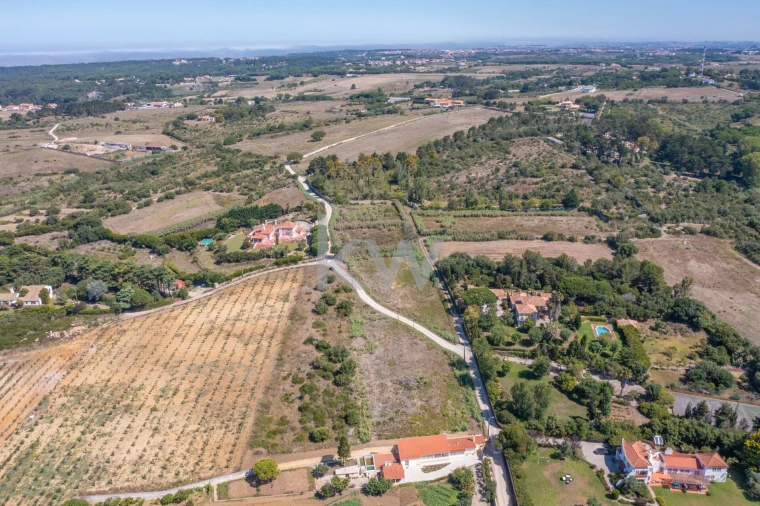 Terreno para Venda em São João das Lampas e Terrugem Foto 2