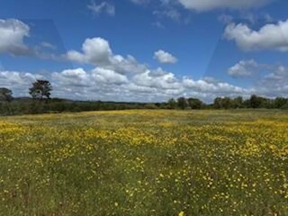 Terreno para Venda em Ermidas-Sado Foto 7