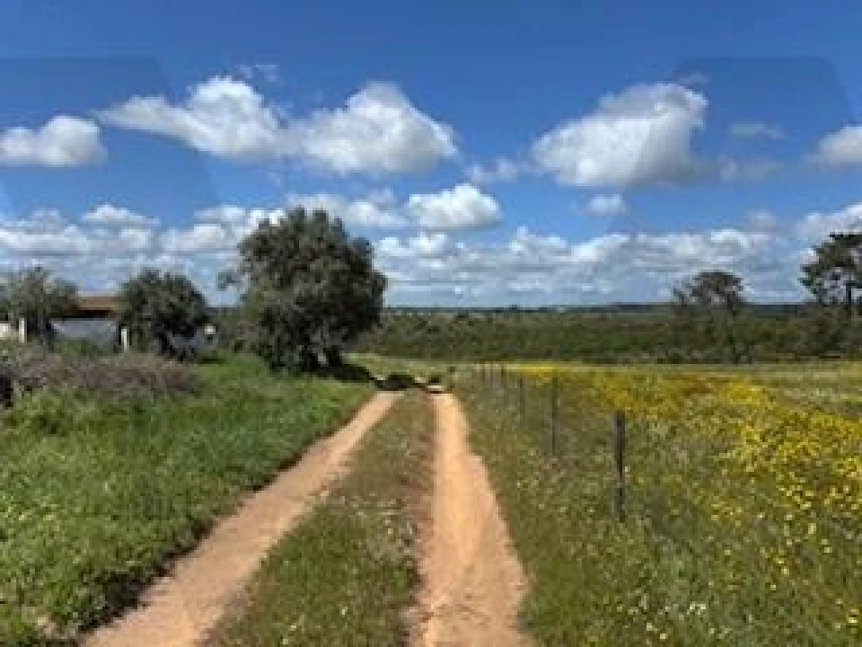 Terreno para Venda em Ermidas-Sado Foto 1
