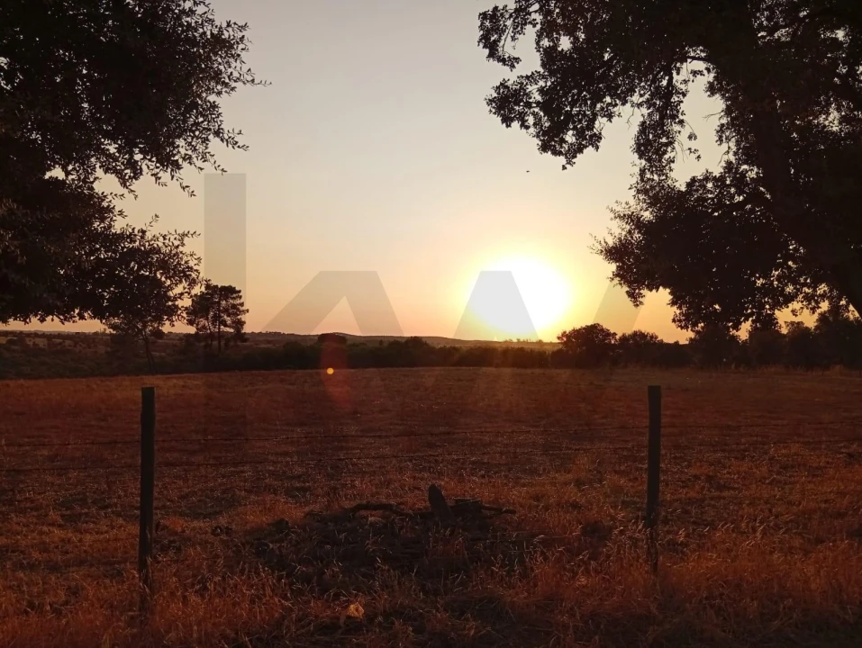 Terreno para Venda em Ermidas-Sado Foto 17