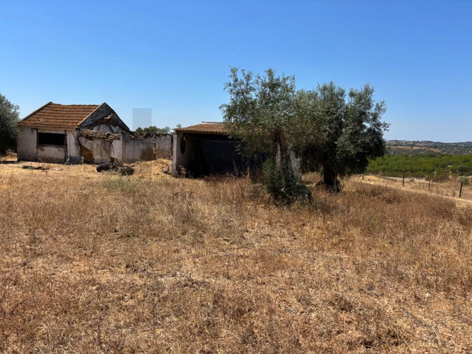 Terreno para Venda em Ermidas-Sado Foto 14